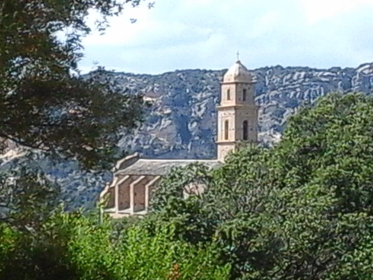 A Casa Di L'alivu 3* Patrimonio