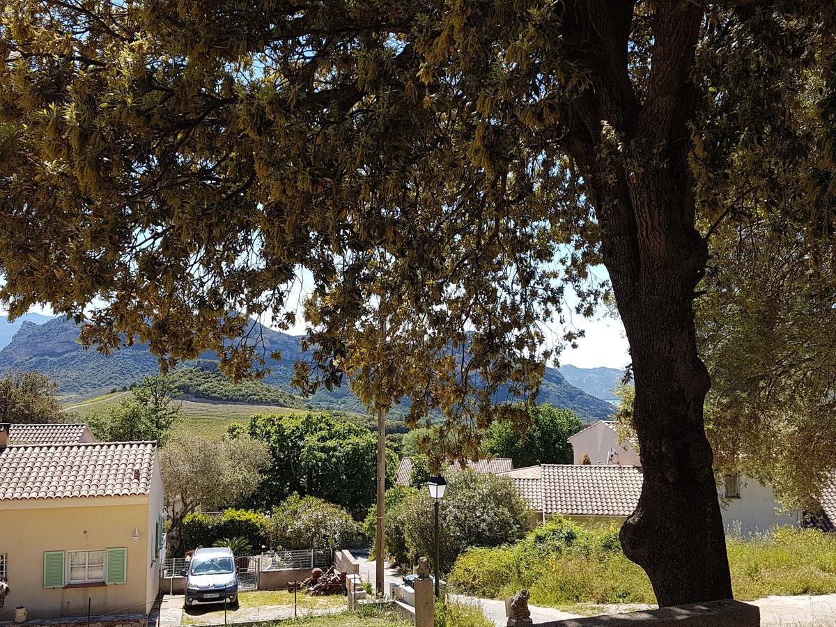 A Casa Di L'alivu 3*