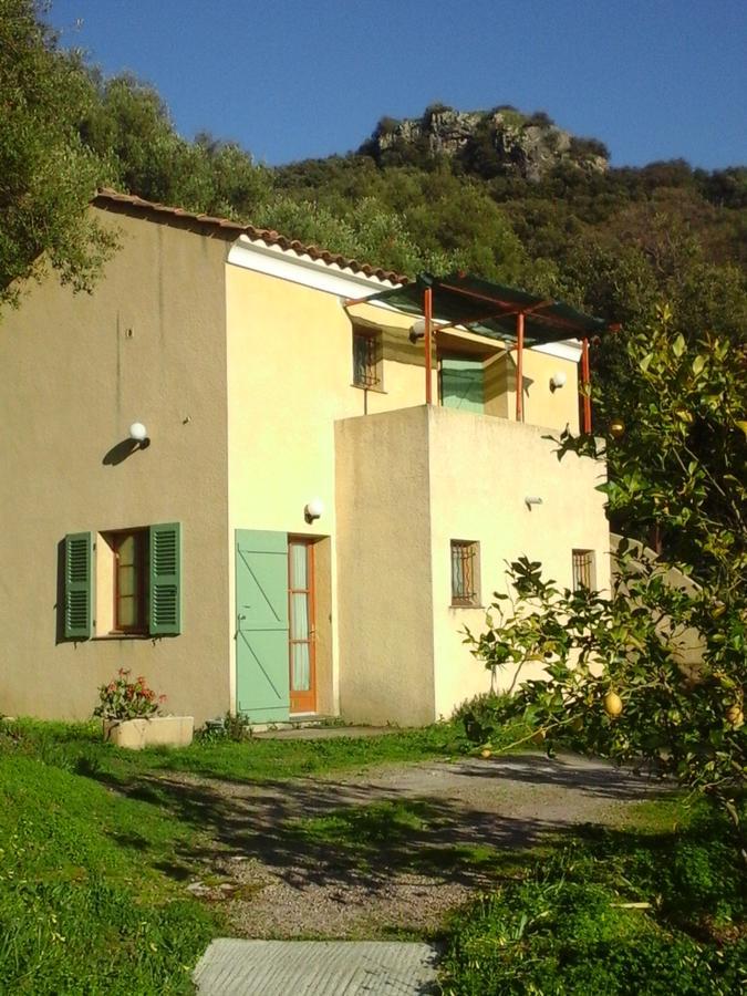 Couette-café A Casa Di L'alivu Patrimonio